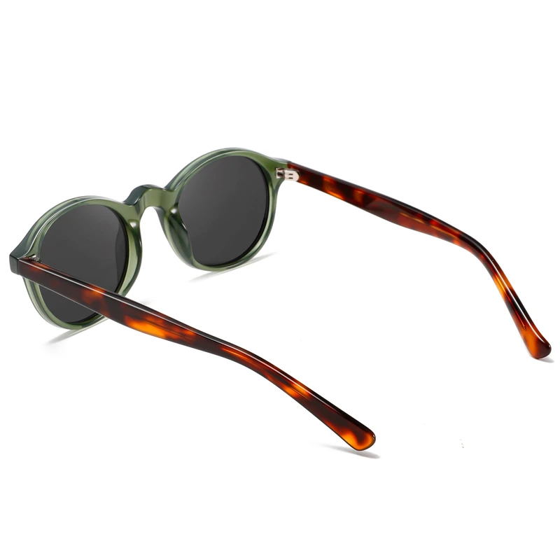 عینک آفتابی پنتوس (Pantos) آلبرت وگ مدل S31126C5 Acetate Avantgarde Visionary - Image 16