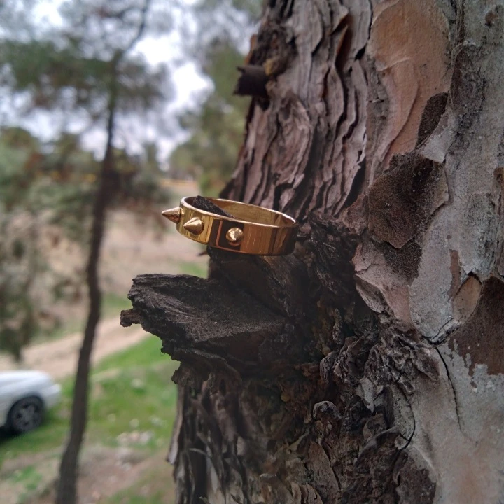 انگشتر مردانه مدل رینگی Rk3 - Image 4